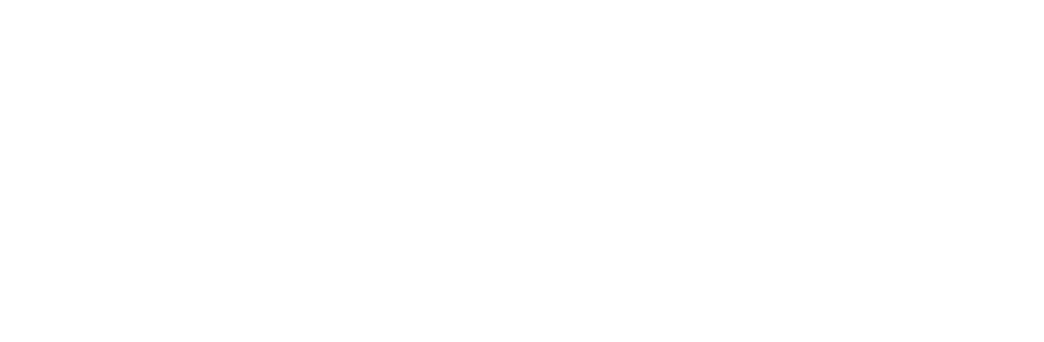 Vidrak